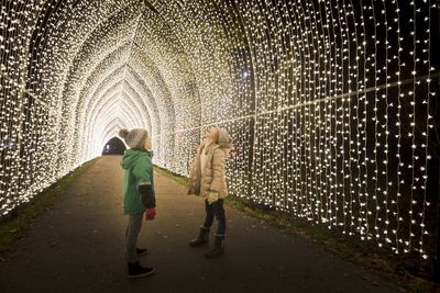 Festive garden events to get you into the Christmas spirit