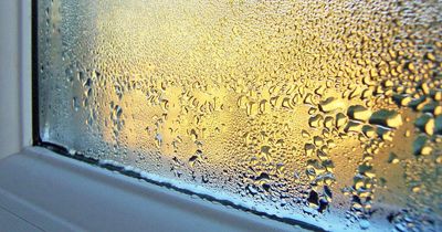 Stop condensation on windows with ‘surprising’ €2 trick