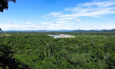 Unchecked deforestation destroying evidence of lost Amazon civilisation