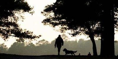 London council threatens £100 fines for dog owners who aren’t carrying poo bags