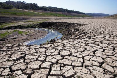 Flash droughts threaten the environment