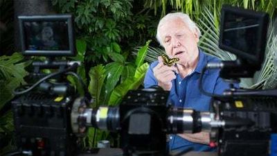 David Attenborough’s virtual-reality series Conquest of the Skies lands on Meta Quest
