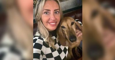 'Beautiful' dog 'scared to death' by fireworks found dead in ditch