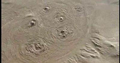 Strange bubbles on Welsh beach turn out to be sinking sand