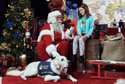 Guide Dog charity to host Christmas grotto for visually impaired children