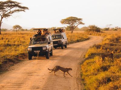 Tanzania travel guide: Everything you need to know