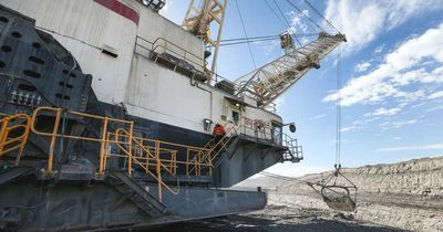 Revealed: 'Relentless pressure' to fake Hunter export coal test results