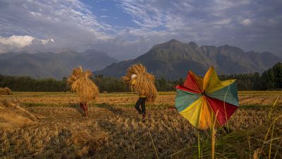 Cop27 climate summit charts small path for global food justice