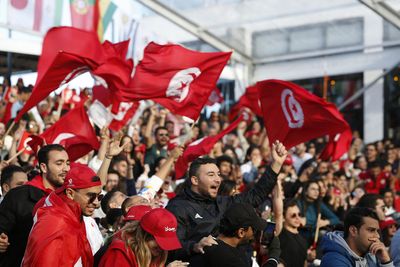 Struggling Tunisians find joy in spirited World Cup display