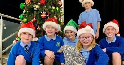 Lanarkshire school full of festive spirit as they prepare for Christmas Fair