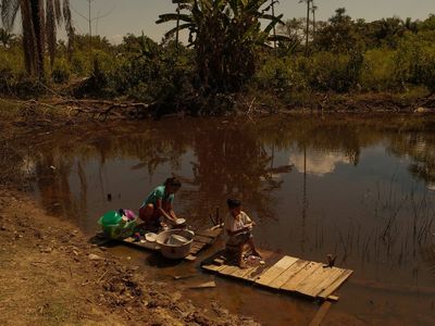 A desperate wait for water in a drying Amazon