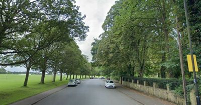 Dog owners warned over bird flu outbreak at Leeds park