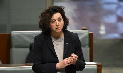 Monique Ryan and Greens renew push to lower Australia’s voting age to 16
