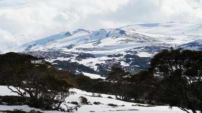 Charlotte Pass ski resort fined by NSW EPA for polluting creek in Kosciuszko National Park