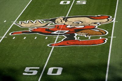 Browns’ home field at FirstEnergy Stadium damaged by vandalism