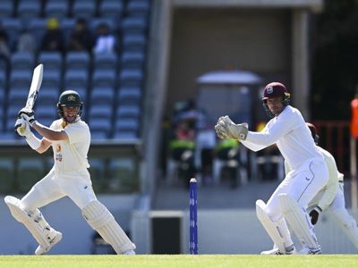 West Indies fighting back against PM's XI