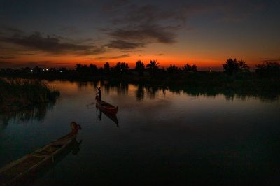 Salt, drought decimate buffaloes in Iraq's southern marshes