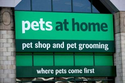 Pets at Home sees profits hit, but Brits still love cats and dogs