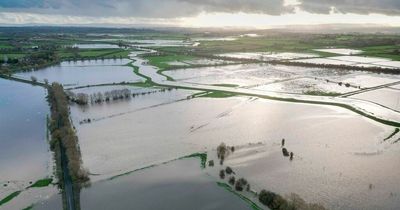 Met Office issues urgent rain warning as UK roads submerged with 86 flood alerts