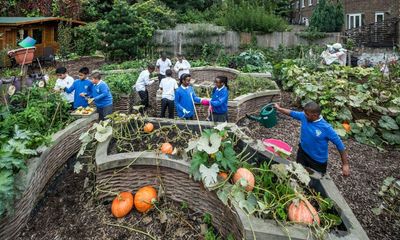 Schoolchildren in England to learn about biodiversity in new RHS project
