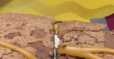 Man finds 'revolting' ants on Costa food display and gets unusual reaction from staff