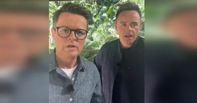 ITV I'm a Celebrity's Ant and Dec 'sign up' new star for next year's show