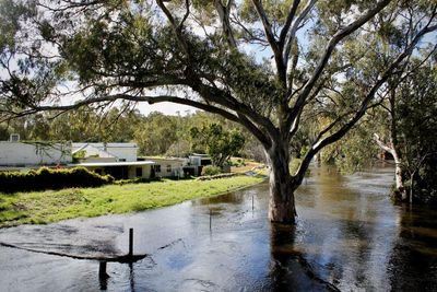 Exhaustion and relief as flood threat subsides in Deniliquin