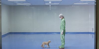 What is ethical animal research? A scientist and veterinarian explain