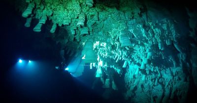 Haunting photos show divers exploring 'frightening' underwater bacteria formations