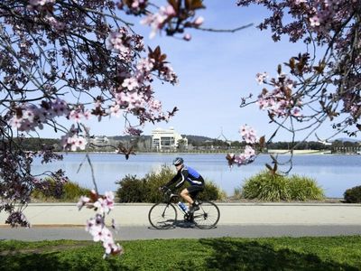 States ranked in race for green transport
