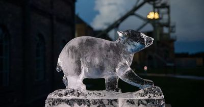 Northumberland museum to host ice sculpture trail highlighting animals at risk from climate change