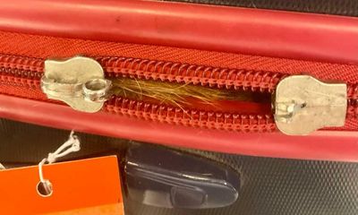 X-ray discovers cat trapped inside checked bag at New York’s JFK airport