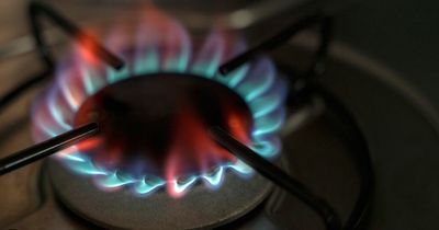 Gas cooker users issued warning by companies as some may cause carbon monoxide risk