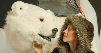 Rare experience in Ireland as globetrotting polar bear makes Christmas stop in Dundalk shopping centre