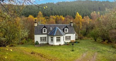 The 'secluded' Highlands cottage for sale in a 'haven for wildlife'