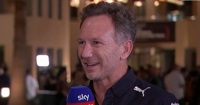 Christian Horner knows Mercedes "pain" as rivals experience familiar Red Bull feeling