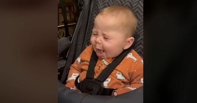 Baby goes viral after hilarious reaction to tasting lemon for the first time