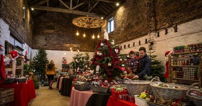 Methley Christmas Tree Farm and shop now open after expansion