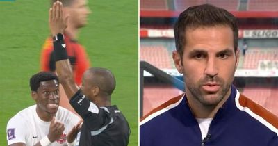 Cesc Fabregas left baffled by referee's response to Belgium back pass and penalty shout