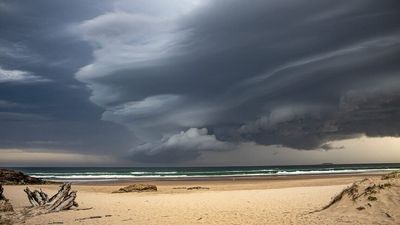 Summer weather outlook from Bureau of Meteorology warns the wet is likely to continue in the east