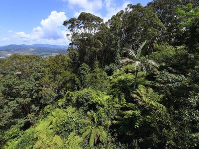 Damning review of NSW biodiversity scheme