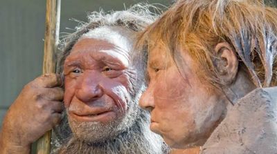 Iraq Cave Complex Evidence: Neanderthals Were Foodies