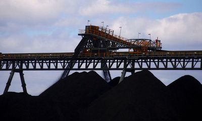 NSW environmental offsets scheme risks ‘trading away’ threatened species ‘for cash’, inquiry finds