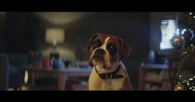 Buster the trampolining John Lewis dog dies after 'wonderful life'