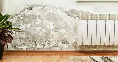 Boiler expert shares 'crucial' condensation tip to stop mould spreading