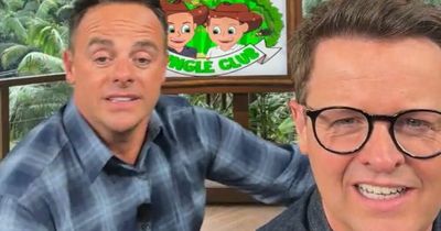 ITV I'm A Celebrity host Ant McPartlin blasts 'idiot' celebs as Dec Donnelly agrees they're 'awful'