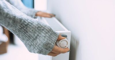 Energy expert shares common signs your radiator needs bleeding - and best way to do it