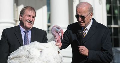 What happens to turkeys that get pardoned by US Presidents - it's surprisingly upsetting