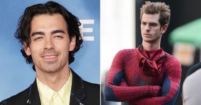 Joe Jonas felt 'destroyed' after losing Spider-Man role to Andrew Garfield