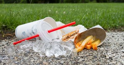 Car registrations to be printed on McDonalds bags in new littering plan being considered